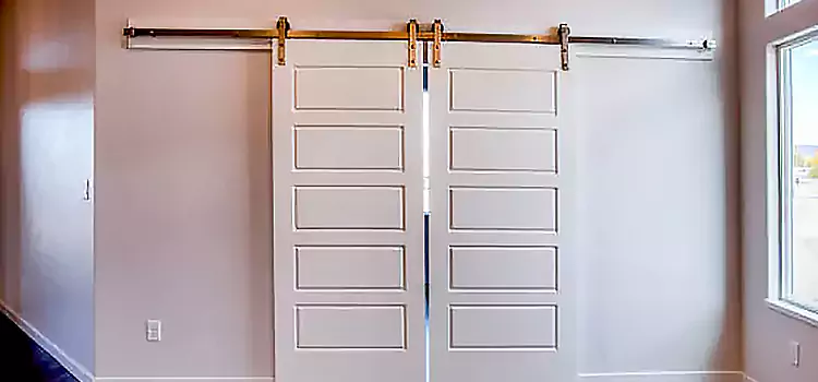 Glass Barn Door with Installation Hardware Kit Hempstead