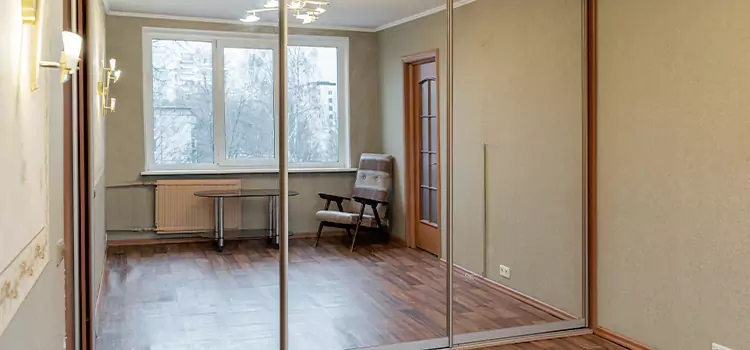 Mirror Closet Door Roller Replacement Hempstead