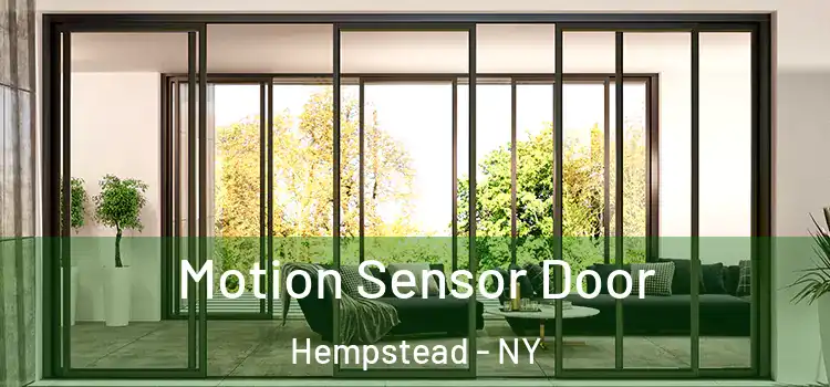 Motion Sensor Door Hempstead - NY